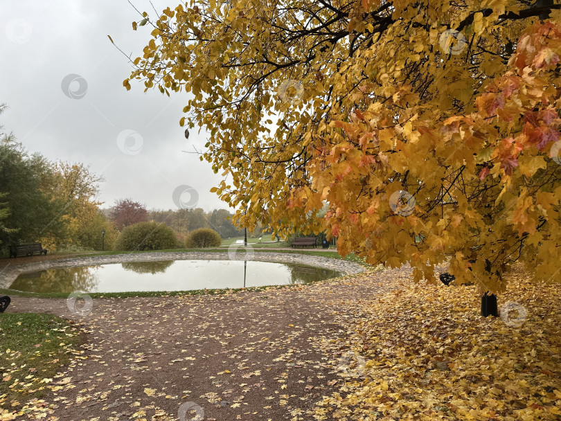 Скачать Осень в Коломенском фотосток Ozero