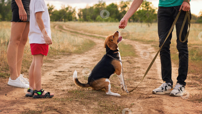 Скачать Неузнаваемая семья выгуливает собаку фотосток Ozero