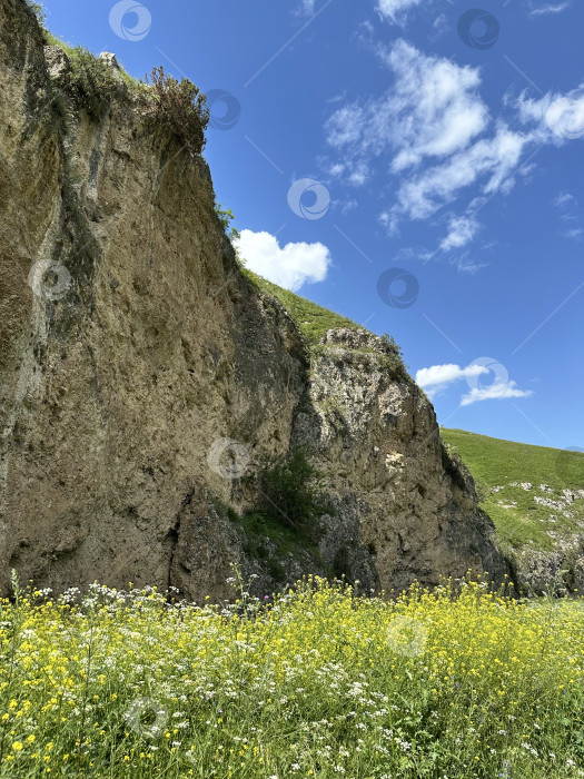 Скачать Цветение в горах фотосток Ozero
