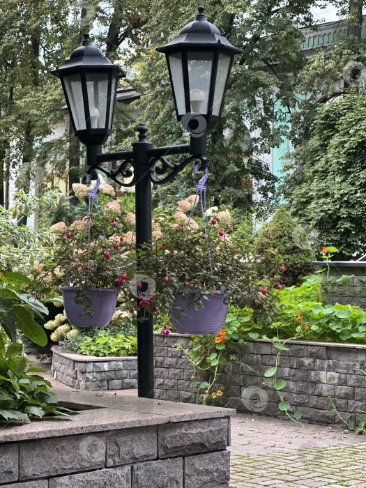 Скачать Фонарь с цветами фотосток Ozero