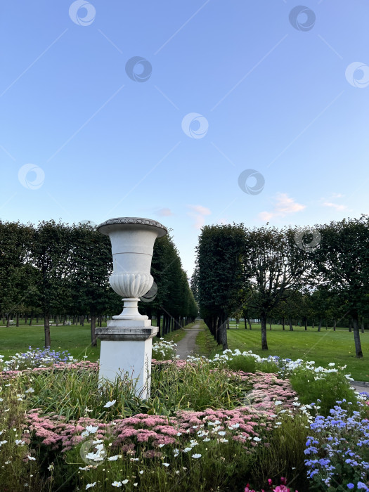 Скачать Парковые цветы фотосток Ozero