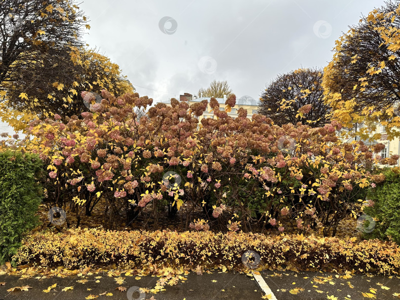 Скачать Осенний пейзаж фотосток Ozero