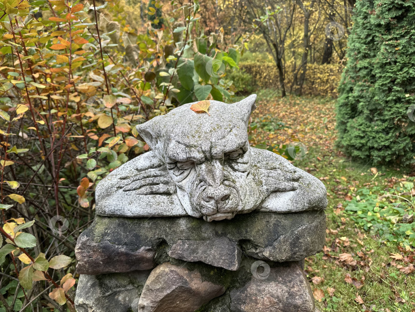 Скачать Скульптура горгулья фотосток Ozero
