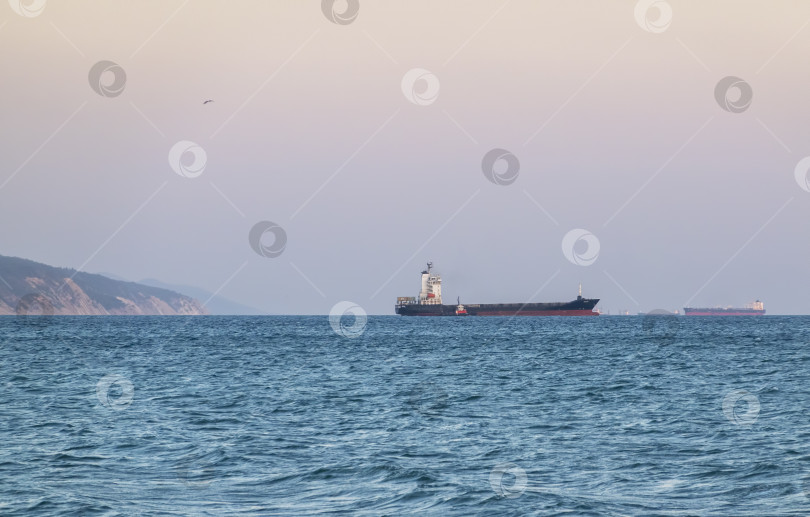 Скачать 24 августа 2025 года: Крупное грузовое судно заходит в порт Новороссийска, Россия, на Черном море, демонстрируя морской транспорт, промышленное судоходство и береговую инфраструктуру. фотосток Ozero