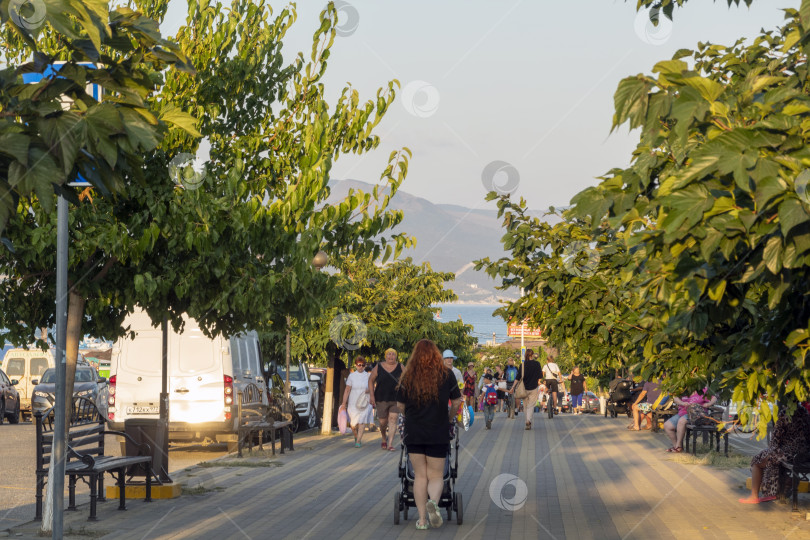 Скачать 28 июля 2025 года: Аллея, ведущая к пляжу Алексино в Новороссийске, Россия, обсажена тутовыми деревьями и туристами, идущими к морю, что отражает летние путешествия и жизнь прибрежного города. фотосток Ozero