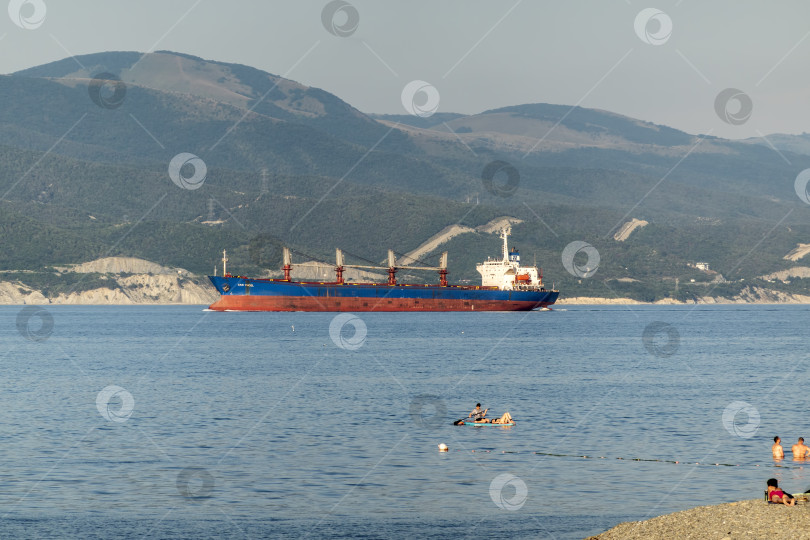 Скачать 24 августа 2025 года: Крупное грузовое судно заходит в порт Новороссийска, Россия, на Черном море, демонстрируя морской транспорт, промышленное судоходство и береговую инфраструктуру. фотосток Ozero