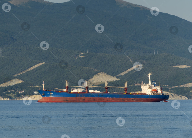 Скачать 24 августа 2025 года: Крупное грузовое судно заходит в порт Новороссийска, Россия, на Черном море, демонстрируя морской транспорт, промышленное судоходство и береговую инфраструктуру. фотосток Ozero