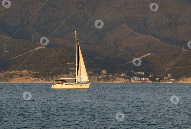 Скачать 22 августа 2025 года Парусная яхта с белыми парусами на Черном море недалеко от Новороссийска, Россия. Прогулочная яхта движется вдоль береговой линии. фотосток Ozero