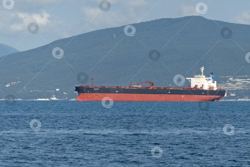 Скачать 24 августа 2025 года: Крупное грузовое судно заходит в порт Новороссийска, Россия, на Черном море, демонстрируя морской транспорт, промышленное судоходство и береговую инфраструктуру. фотосток Ozero