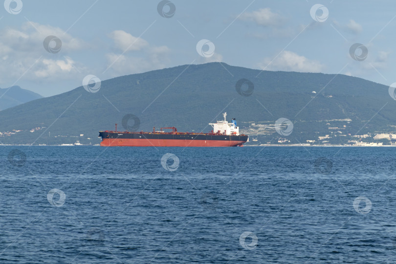 Скачать 24 августа 2025 года: Крупное грузовое судно заходит в порт Новороссийска, Россия, на Черном море, демонстрируя морской транспорт, промышленное судоходство и береговую инфраструктуру. фотосток Ozero