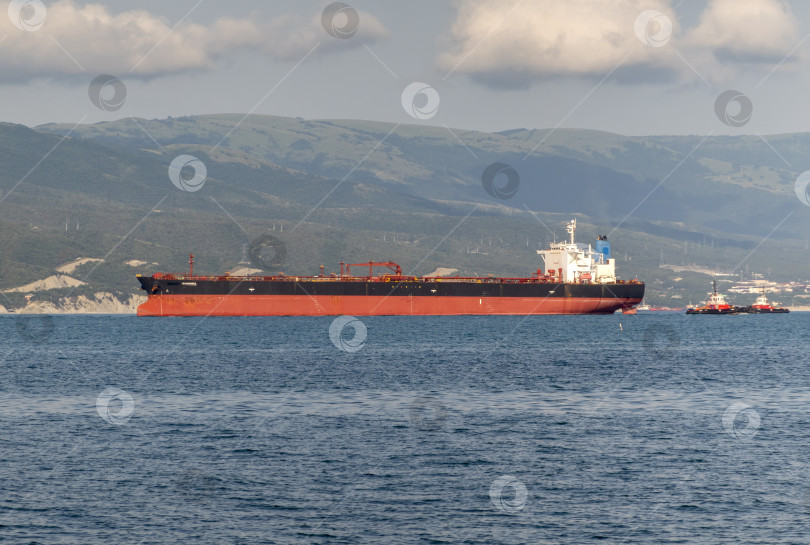 Скачать 24 августа 2025 года: Крупное грузовое судно заходит в порт Новороссийска, Россия, на Черном море, демонстрируя морской транспорт, промышленное судоходство и береговую инфраструктуру. фотосток Ozero