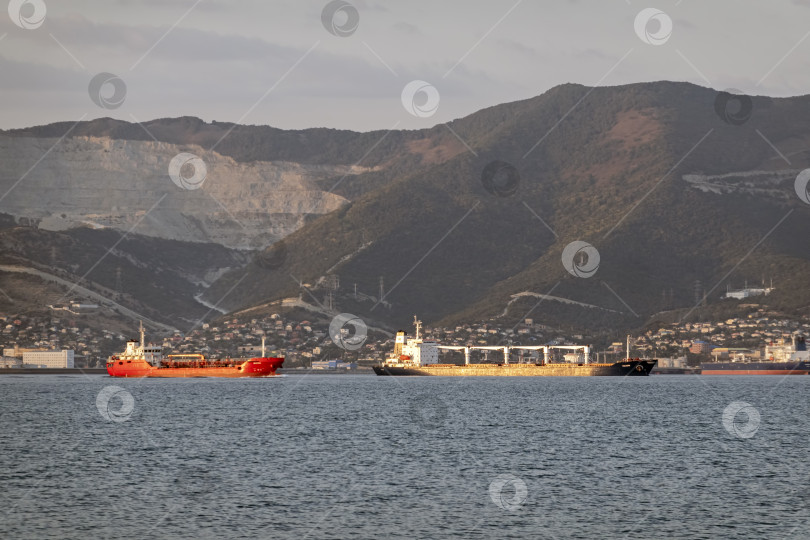 Скачать 24 августа 2025 года: Крупное грузовое судно заходит в порт Новороссийска, Россия, на Черном море, демонстрируя морской транспорт, промышленное судоходство и береговую инфраструктуру. фотосток Ozero