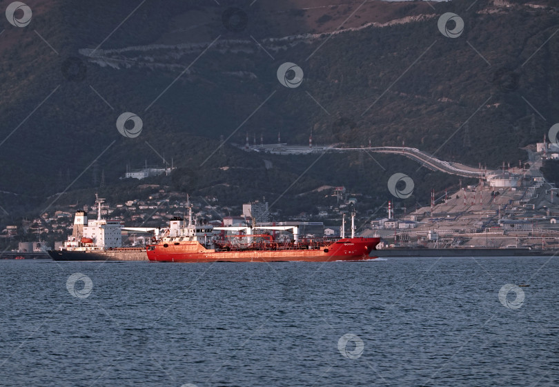 Скачать 24 августа 2025 года: Крупное грузовое судно заходит в порт Новороссийска, Россия, на Черном море, демонстрируя морской транспорт, промышленное судоходство и береговую инфраструктуру. фотосток Ozero
