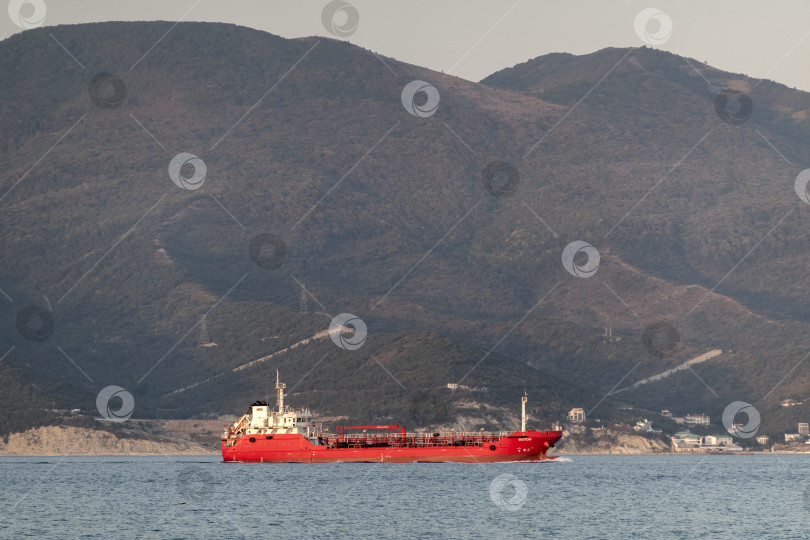 Скачать 24 августа 2025 года: Крупное грузовое судно заходит в порт Новороссийска, Россия, на Черном море, демонстрируя морской транспорт, промышленное судоходство и береговую инфраструктуру. фотосток Ozero