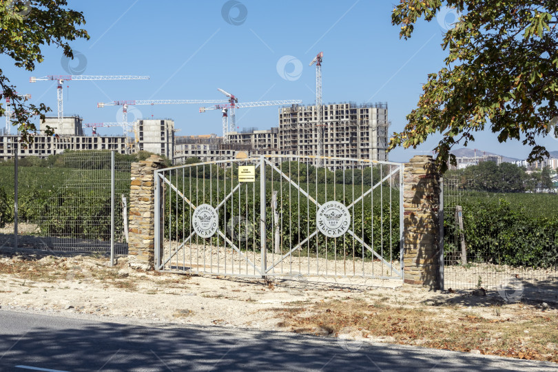 Скачать 24 августа 2025 года: Въезд на виноградники винодельни "Мысхако" близ Новороссийска, Россия, с зелеными виноградными лозами и небом, иллюстрирующими производство вина, сельское хозяйство и региональную самобытность. фотосток Ozero