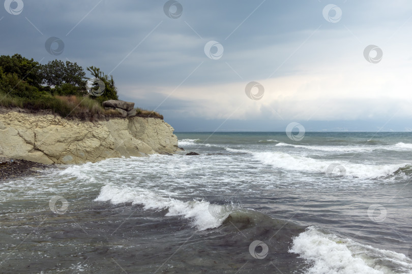 Скачать Панорамный вид на море со скалистого склона холма с соснами под ясным голубым летним небом фотосток Ozero