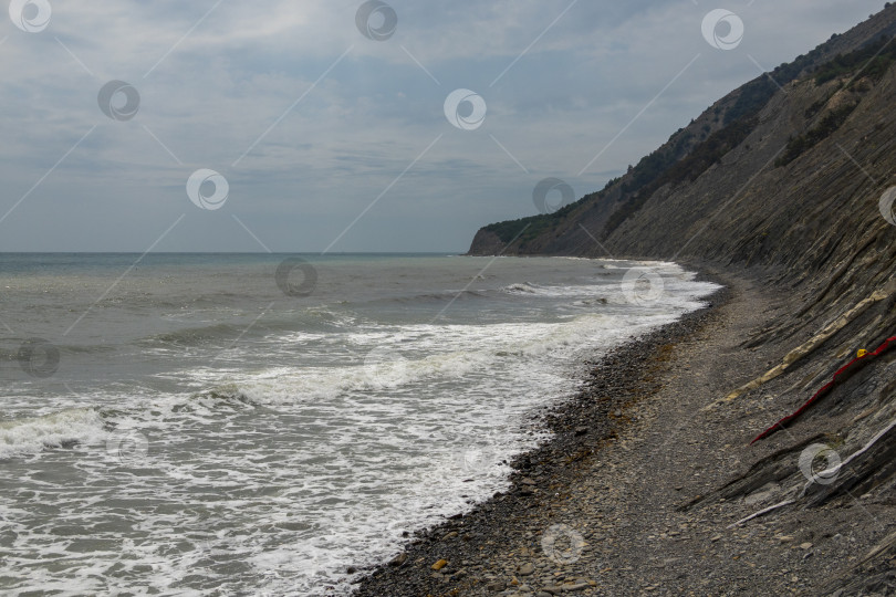 Скачать Панорамный вид на море со скалистого склона холма с соснами под ясным голубым летним небом фотосток Ozero