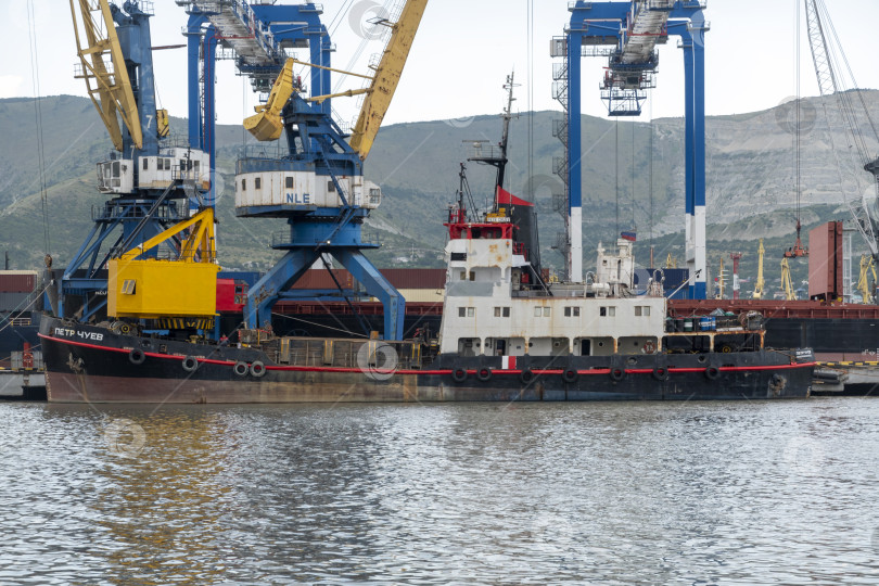 Скачать 22 августа 2025 года, вид порта Новороссийск, Россия, с грузовыми судами и кранами на побережье. Промышленный морской пейзаж на Черном море фотосток Ozero