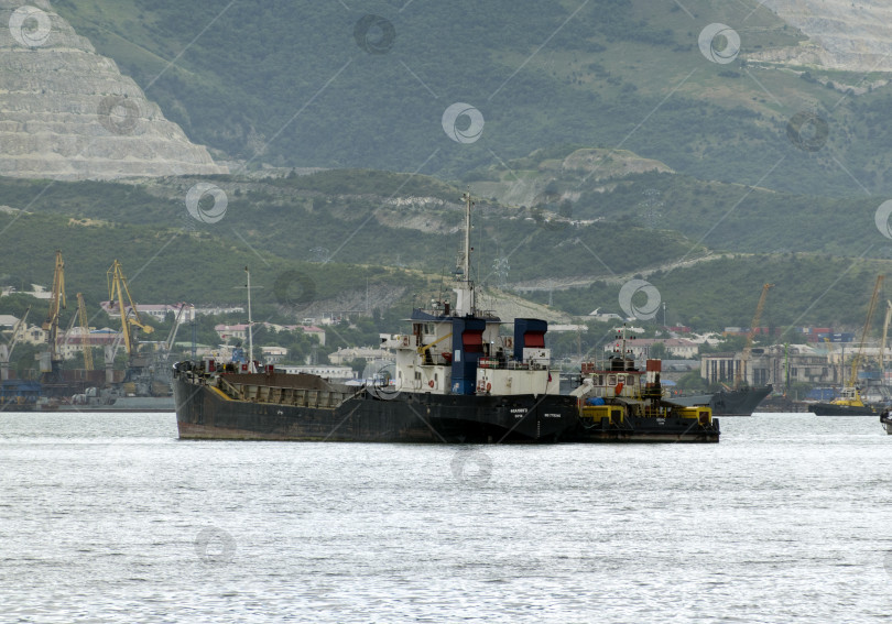 Скачать 24 августа 2025 года: Грузовое судно "Фламинго" пришвартовалось в порту Новороссийска, Россия, демонстрируя коммерческое судоходство, морской транспорт и портовую инфраструктуру на Черном море. фотосток Ozero