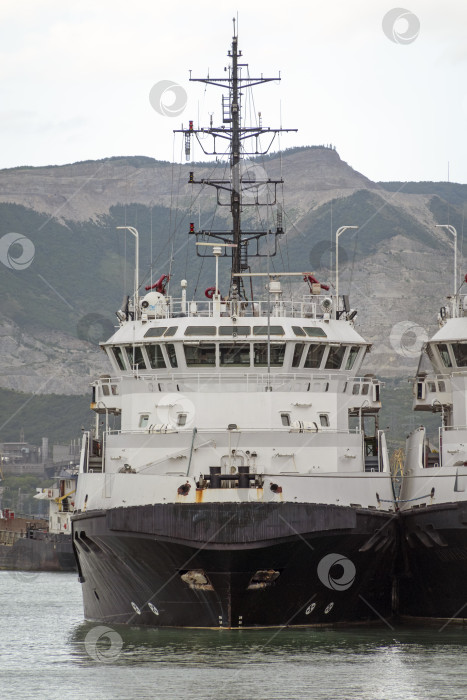 Скачать 24 августа 2025 года: Спасательные суда пришвартовались в порту Новороссийска, Россия, на фоне гор, иллюстрирующих безопасность на море, портовые операции и деятельность на побережье Черного моря. фотосток Ozero