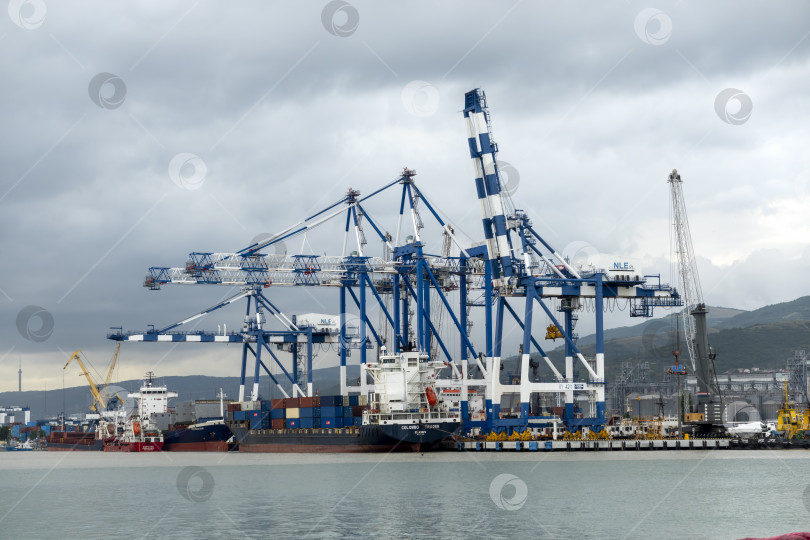 Скачать 22 августа 2025 года, вид порта Новороссийск, Россия, с грузовыми судами и кранами на побережье. Промышленный морской пейзаж на Черном море фотосток Ozero