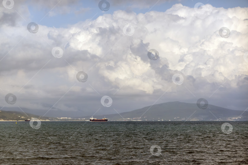 Скачать Дикий пляж на побережье поселка Кабардинка, Россия, со скалами, деревьями и природными пейзажами, демонстрирующими нетронутый прибрежный ландшафт и морскую среду обитания фотосток Ozero