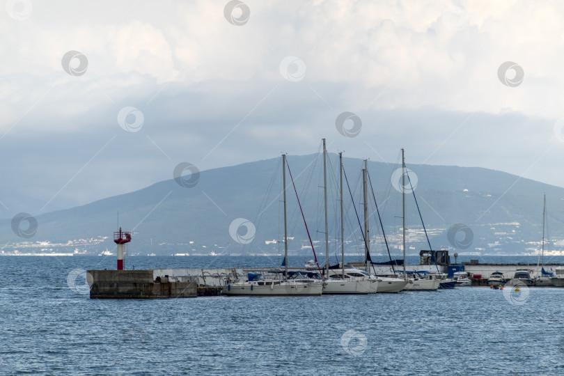 Скачать 28 июля 2025 года: Стоянка яхт вдоль набережной в Новороссийске, Россия, с пришвартованными яхтами у береговой линии, отражающими морскую жизнь и атмосферу Черноморской гавани. фотосток Ozero