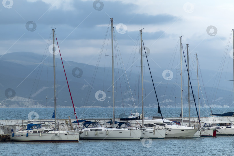 Скачать 28 июля 2025 года: Стоянка яхт вдоль набережной в Новороссийске, Россия, с пришвартованными яхтами у береговой линии, отражающими морскую жизнь и атмосферу Черноморской гавани. фотосток Ozero