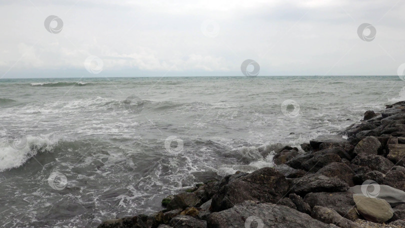 Скачать Панорамный вид на море со скалистого склона холма с соснами под ясным голубым летним небом фотосток Ozero