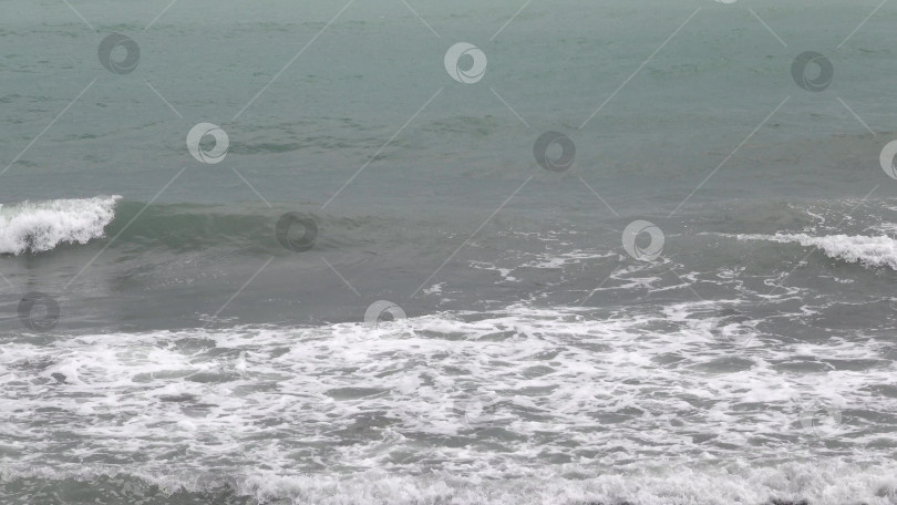 Скачать Панорамный вид на море со скалистого склона холма с соснами под ясным голубым летним небом фотосток Ozero