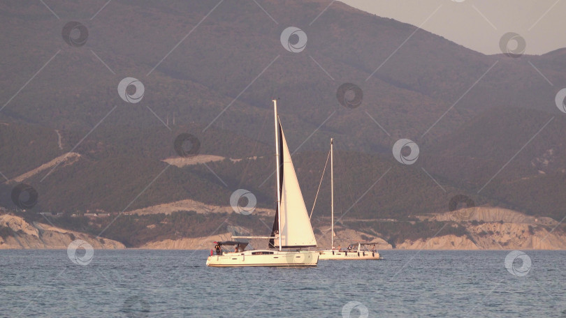 Скачать 25 августа 2025 года: Новороссийск, Россия: Две белые яхты плывут навстречу друг другу по морю, демонстрируя отдых под парусом, морскую активность и летнюю прибрежную жизнь на Черном море фотосток Ozero