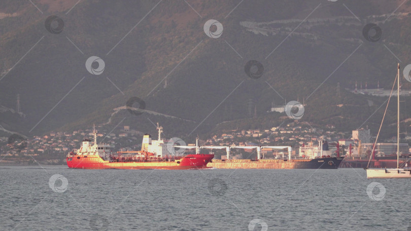 Скачать 24 августа 2025 года: Крупное грузовое судно заходит в порт Новороссийска, Россия, на Черном море, демонстрируя морской транспорт, промышленное судоходство и береговую инфраструктуру. фотосток Ozero