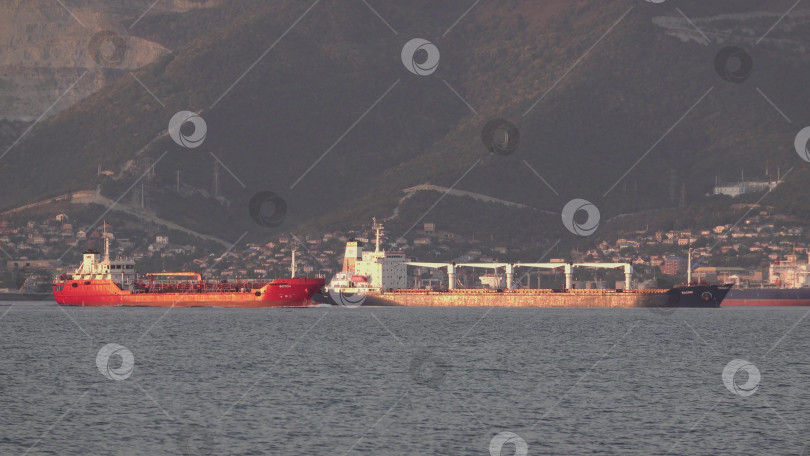 Скачать 24 августа 2025 года: Крупное грузовое судно заходит в порт Новороссийска, Россия, на Черном море, демонстрируя морской транспорт, промышленное судоходство и береговую инфраструктуру. фотосток Ozero