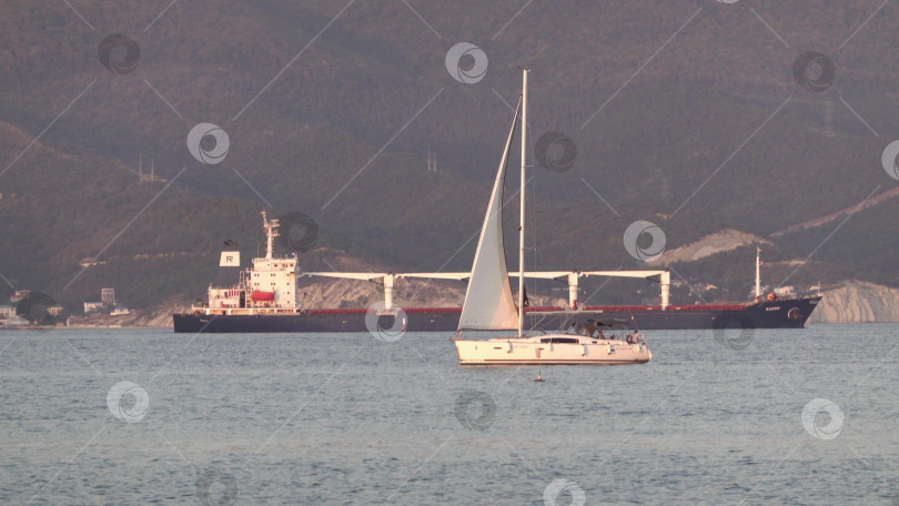 Скачать 24 августа 2025 года: Крупное грузовое судно заходит в порт Новороссийска, Россия, на Черном море, демонстрируя морской транспорт, промышленное судоходство и береговую инфраструктуру. фотосток Ozero