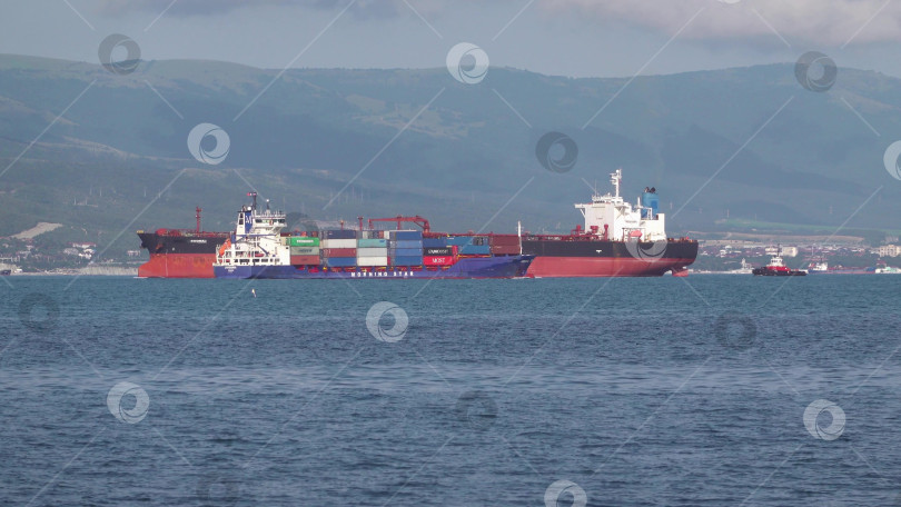 Скачать 24 августа 2025 года: Крупное грузовое судно заходит в порт Новороссийска, Россия, на Черном море, демонстрируя морской транспорт, промышленное судоходство и береговую инфраструктуру. фотосток Ozero