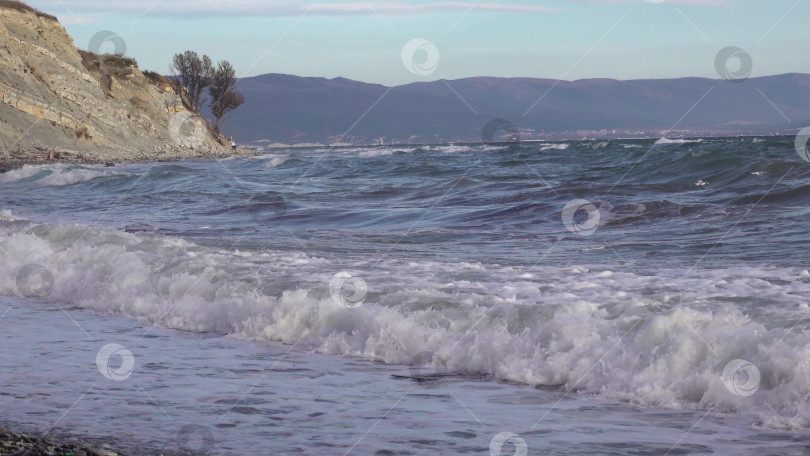 Скачать Панорамный вид на море со скалистого склона холма с соснами под ясным голубым летним небом фотосток Ozero