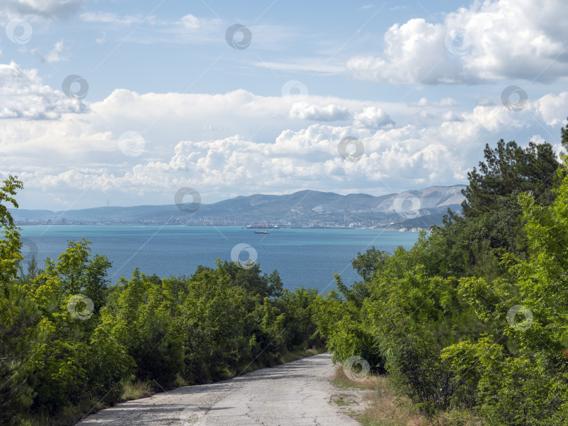 Скачать Дикий пляж на побережье поселка Кабардинка, Россия, со скалами, деревьями и природными пейзажами, демонстрирующими нетронутый прибрежный ландшафт и морскую среду обитания фотосток Ozero