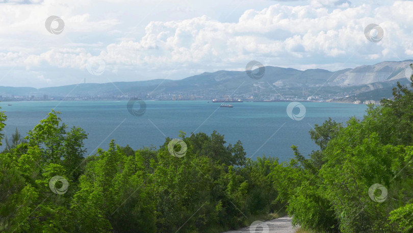 Скачать Дикий пляж на побережье поселка Кабардинка, Россия, со скалами, деревьями и природными пейзажами, демонстрирующими нетронутый прибрежный ландшафт и морскую среду обитания фотосток Ozero