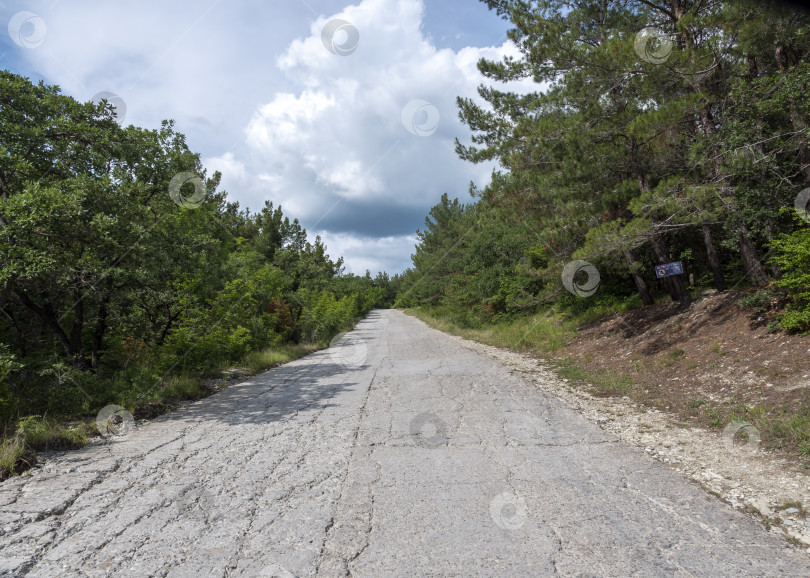 Скачать Лесная грунтовая дорога тянется до самого горизонта, вдали видны море и небо, сочетающие лесной ландшафт с прибрежными пейзажами и открытым пространством фотосток Ozero