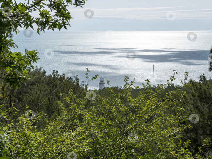 Скачать Дикий пляж на побережье поселка Кабардинка, Россия, со скалами, деревьями и природными пейзажами, демонстрирующими нетронутый прибрежный ландшафт и морскую среду обитания фотосток Ozero