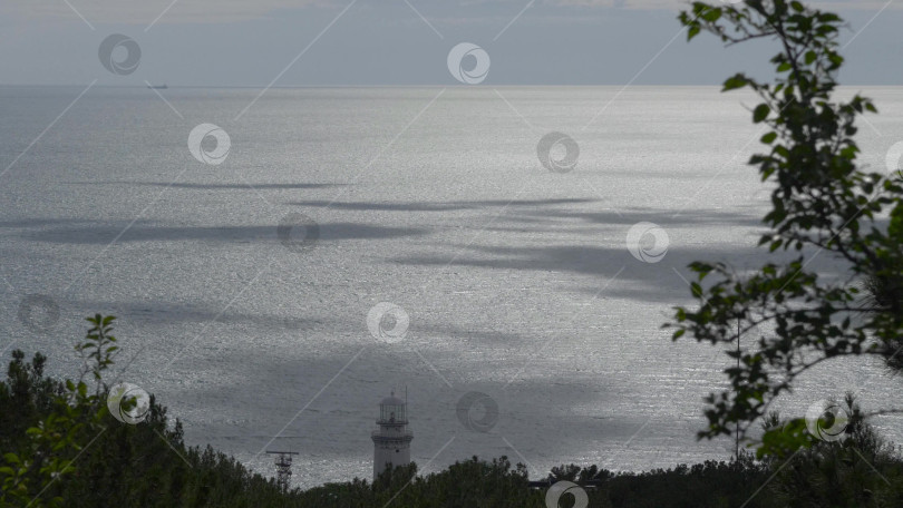 Скачать Дикий пляж на побережье поселка Кабардинка, Россия, со скалами, деревьями и природными пейзажами, демонстрирующими нетронутый прибрежный ландшафт и морскую среду обитания фотосток Ozero