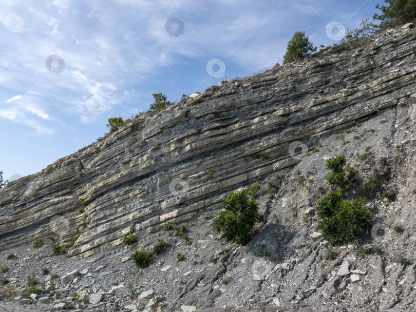 Скачать Дикий пляж на побережье поселка Кабардинка, Россия, со скалами, деревьями и природными пейзажами, демонстрирующими нетронутый прибрежный ландшафт и морскую среду обитания фотосток Ozero