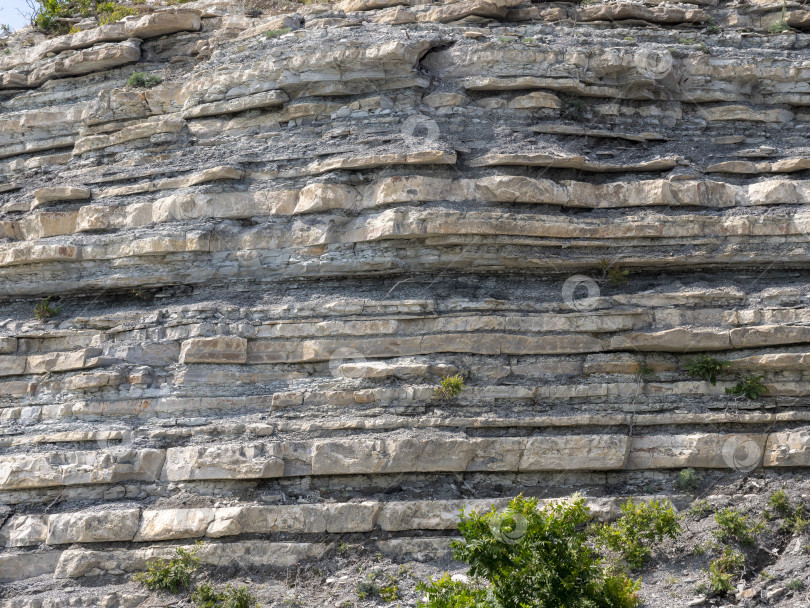 Скачать Дикий пляж на побережье поселка Кабардинка, Россия, со скалами, деревьями и природными пейзажами, демонстрирующими нетронутый прибрежный ландшафт и морскую среду обитания фотосток Ozero