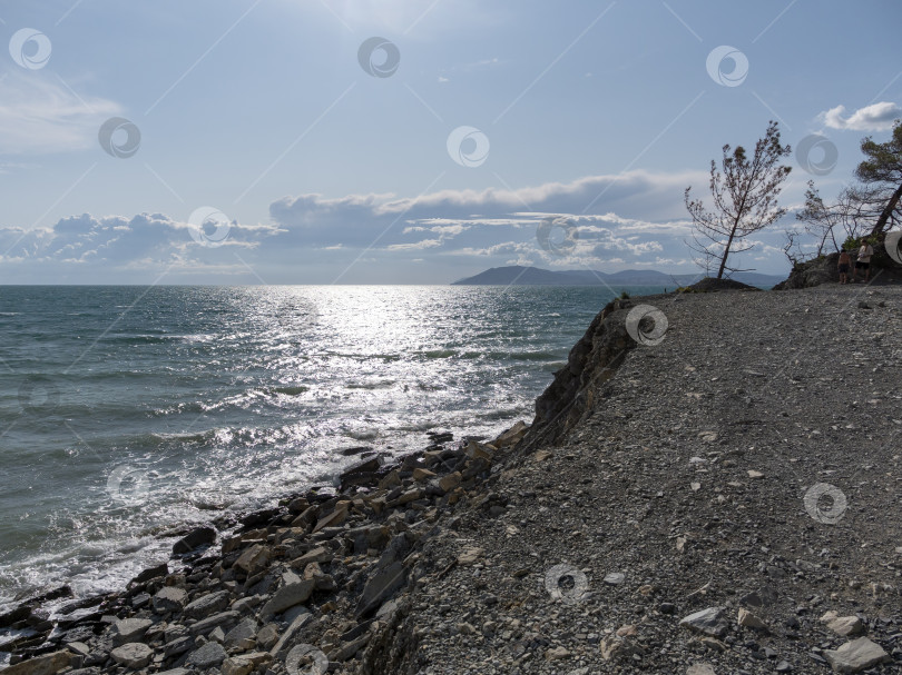 Скачать Дикий пляж на побережье поселка Кабардинка, Россия, со скалами, деревьями и природными пейзажами, демонстрирующими нетронутый прибрежный ландшафт и морскую среду обитания фотосток Ozero