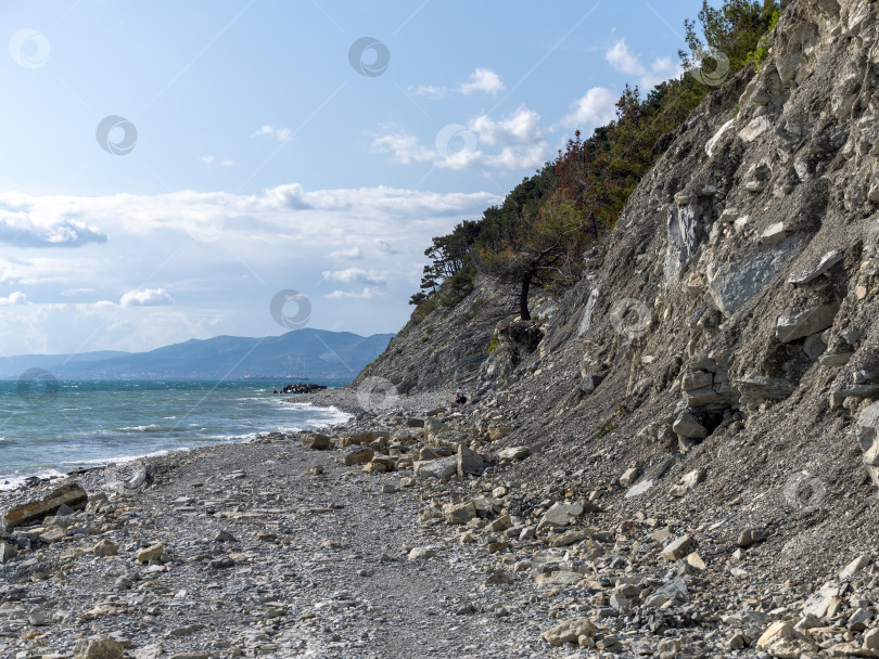 Скачать Дикий пляж на побережье поселка Кабардинка, Россия, со скалами, деревьями и природными пейзажами, демонстрирующими нетронутый прибрежный ландшафт и морскую среду обитания фотосток Ozero