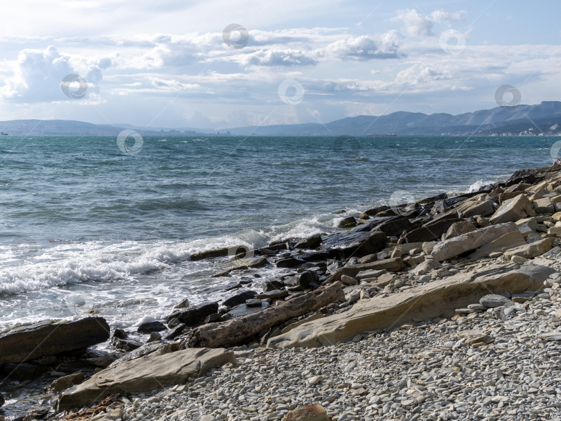 Скачать Дикий пляж на побережье поселка Кабардинка, Россия, со скалами, деревьями и природными пейзажами, демонстрирующими нетронутый прибрежный ландшафт и морскую среду обитания фотосток Ozero