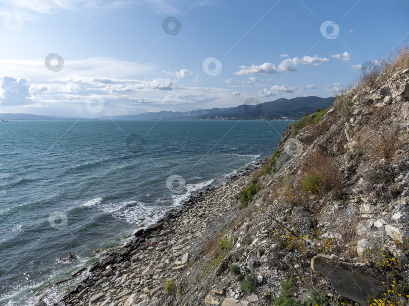 Скачать Дикий пляж на побережье поселка Кабардинка, Россия, со скалами, деревьями и природными пейзажами, демонстрирующими нетронутый прибрежный ландшафт и морскую среду обитания фотосток Ozero