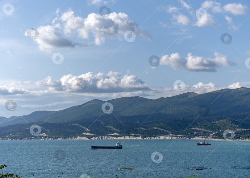 Скачать 24 августа 2025 года: Дикий пляж на побережье поселка Кабардинка, Россия, на фоне скал, деревьев и больших кораблей, демонстрирующих прибрежный ландшафт и морские пейзажи. фотосток Ozero