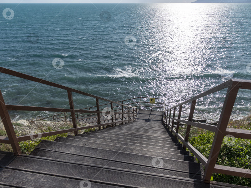 Скачать Дикий пляж на побережье поселка Кабардинка, Россия, со скалами, деревьями и природными пейзажами, демонстрирующими нетронутый прибрежный ландшафт и морскую среду обитания фотосток Ozero