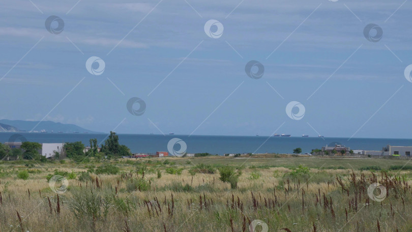 Скачать Дикий пляж на побережье поселка Кабардинка, Россия, со скалами, деревьями и природными пейзажами, демонстрирующими нетронутый прибрежный ландшафт и морскую среду обитания фотосток Ozero